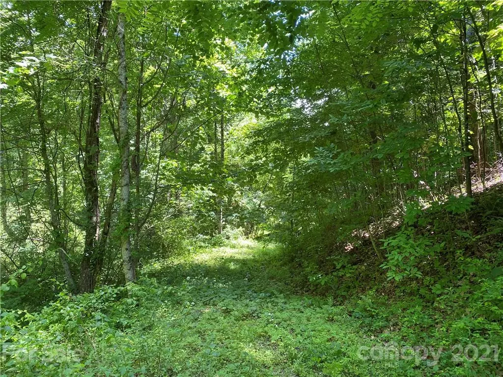 Hendersonville, NC 28739,000 Chattooga RUN #Lot 402