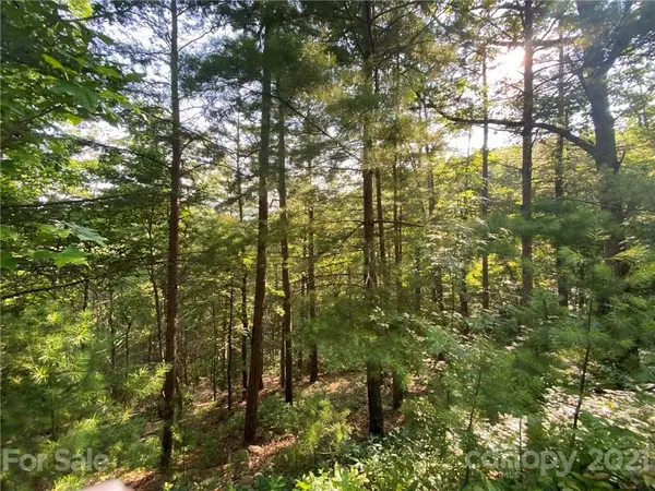 Hot Springs, NC 28743,TBD High Mountain RD #5