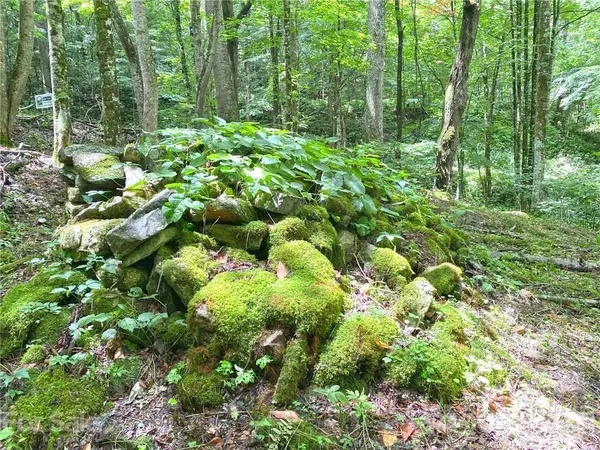 Hot Springs, NC 28743,TBD Rock House RD