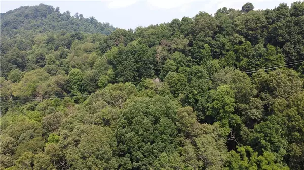 Canton, NC 28716,TBD England RD