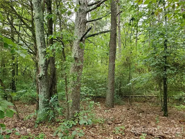 Lawndale, NC 28090,near 2850 Toney RD