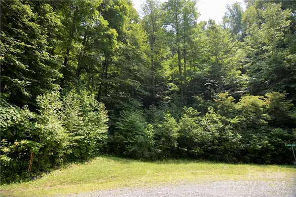 00 Little Pond PASS #Lot #33, Mars Hill, NC 28754