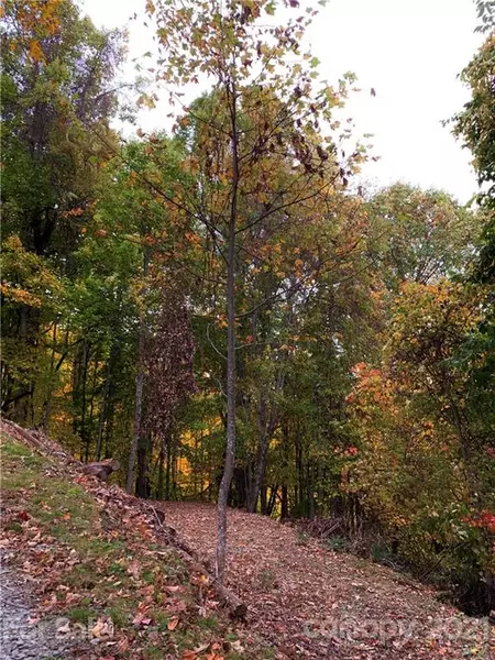 375 Buck DR, Hot Springs, NC 28743