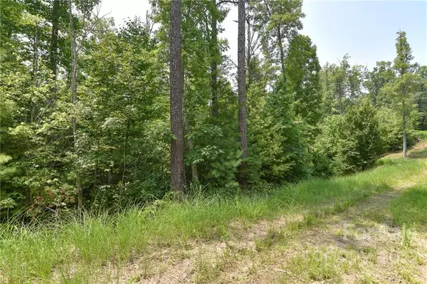 Lot 3 The Vines BLVD #Lot 3, Marshall, NC 28753