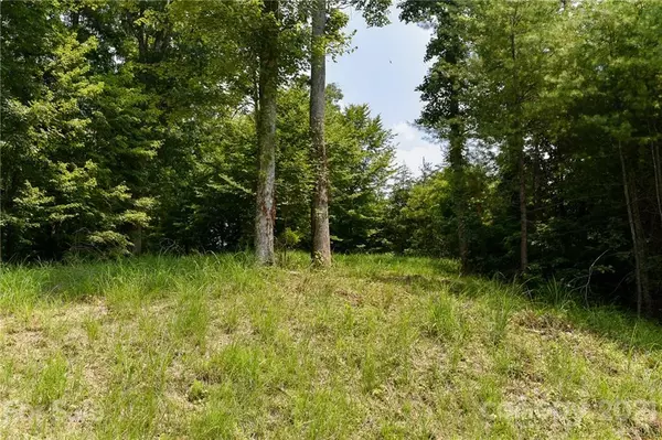 Marshall, NC 28753,Lot 5 The Vines BLVD #Lot 5