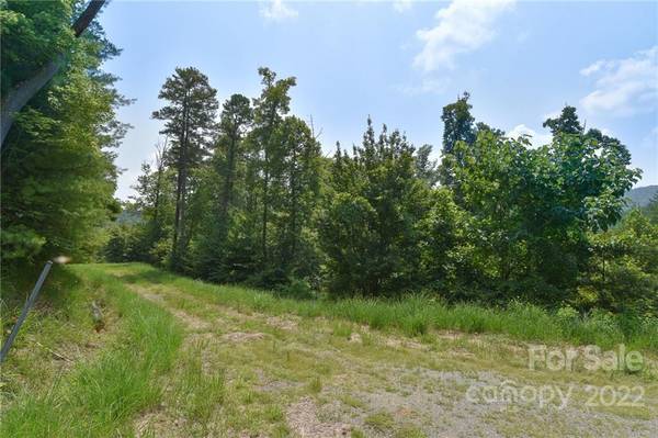 Marshall, NC 28753,Lot 6 The Vines BLVD #Lot 6