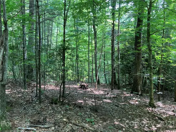 Bakersville, NC 28705,167 Ashland Mountain RD #15