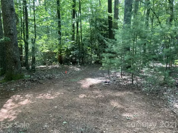 Bakersville, NC 28705,167 Ashland Mountain RD #15