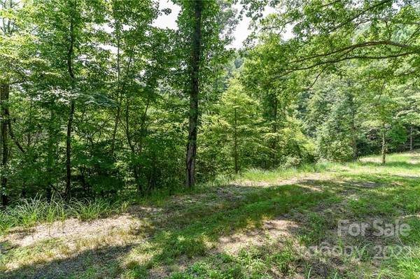 Marshall, NC 28753,Lot 13 The Vines BLVD #Lot 13