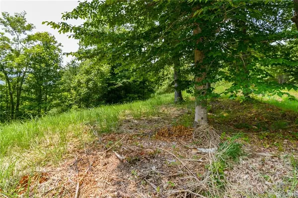 Marshall, NC 28753,319 The Vines BLVD #21
