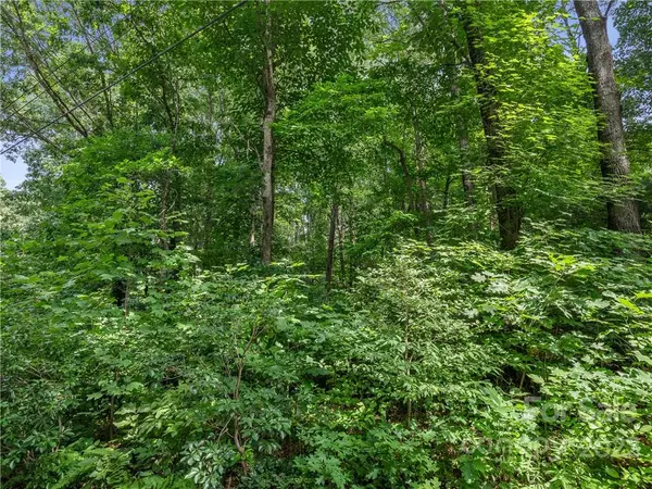 Arden, NC 28704,9999 Spring Hill CIR