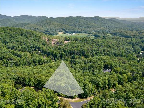 Horse Shoe, NC 28742,000 Shining Rock PATH #69