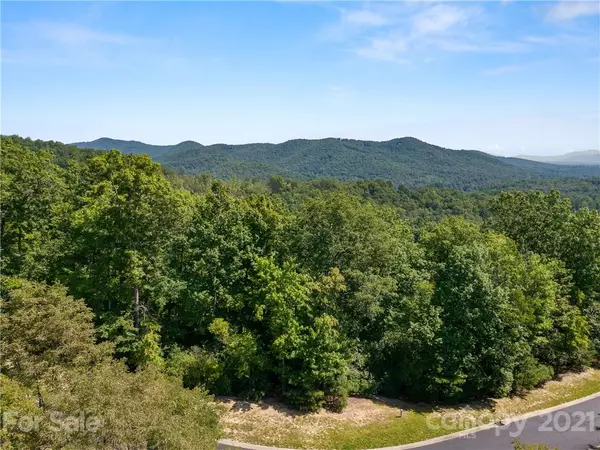 Horse Shoe, NC 28742,000 Shining Rock PATH #69