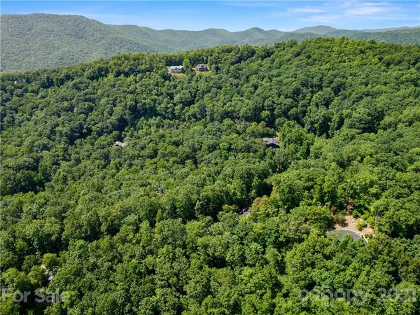 Horse Shoe, NC 28742,000 Shining Rock PATH #69