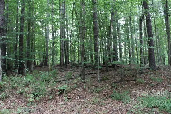 Valdese, NC 28690,151 Glass Water PT #76