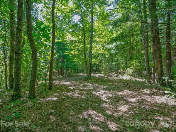 Zirconia, NC 28790,0000 Hawks Point DR #Tract 3 & 4