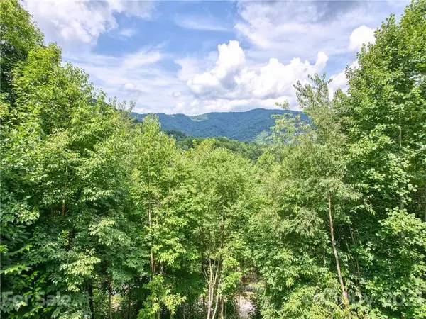 Waynesville, NC 28785,432 Appaloosa TRL