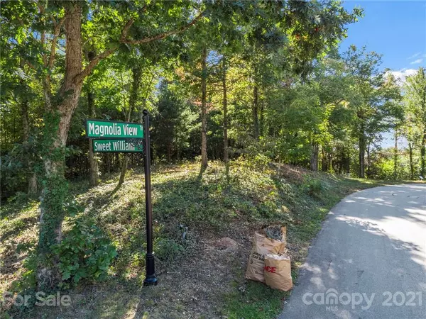 Asheville, NC 28804,11 Magnolia View TRL #LOT 24