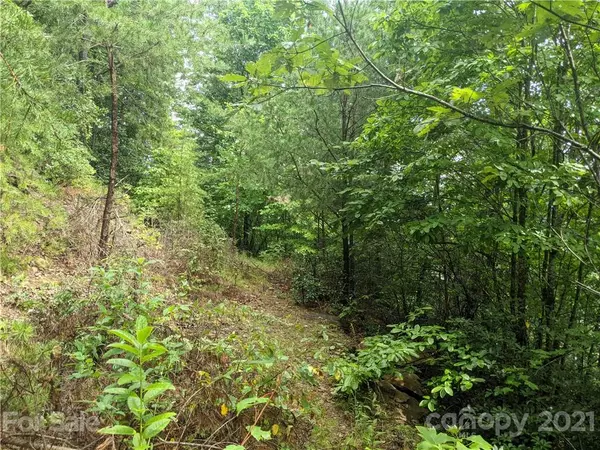 Black Mountain, NC 28711,2 lots Red Plum LN