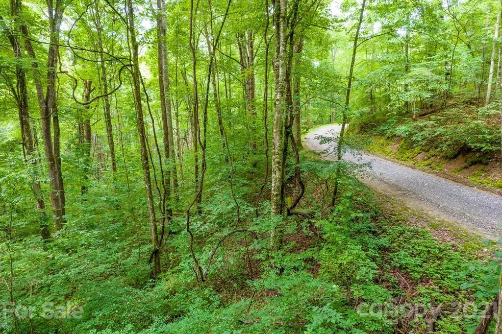 Tuckasegee, NC 28783,Lot 34 Rainbow Trout DR #34