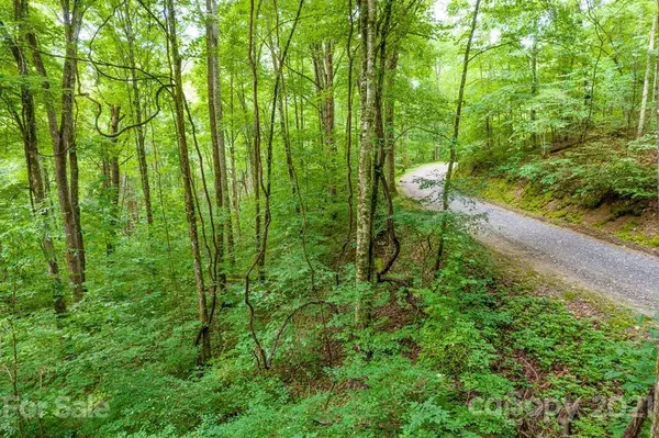 Lot 34 Rainbow Trout DR #34, Tuckasegee, NC 28783