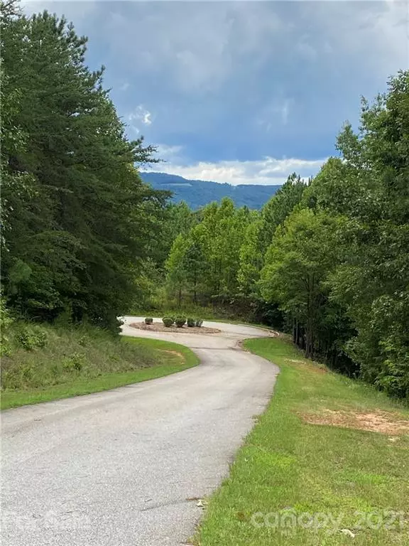 Mill Spring, NC 28756,LOT 19 River Park LN