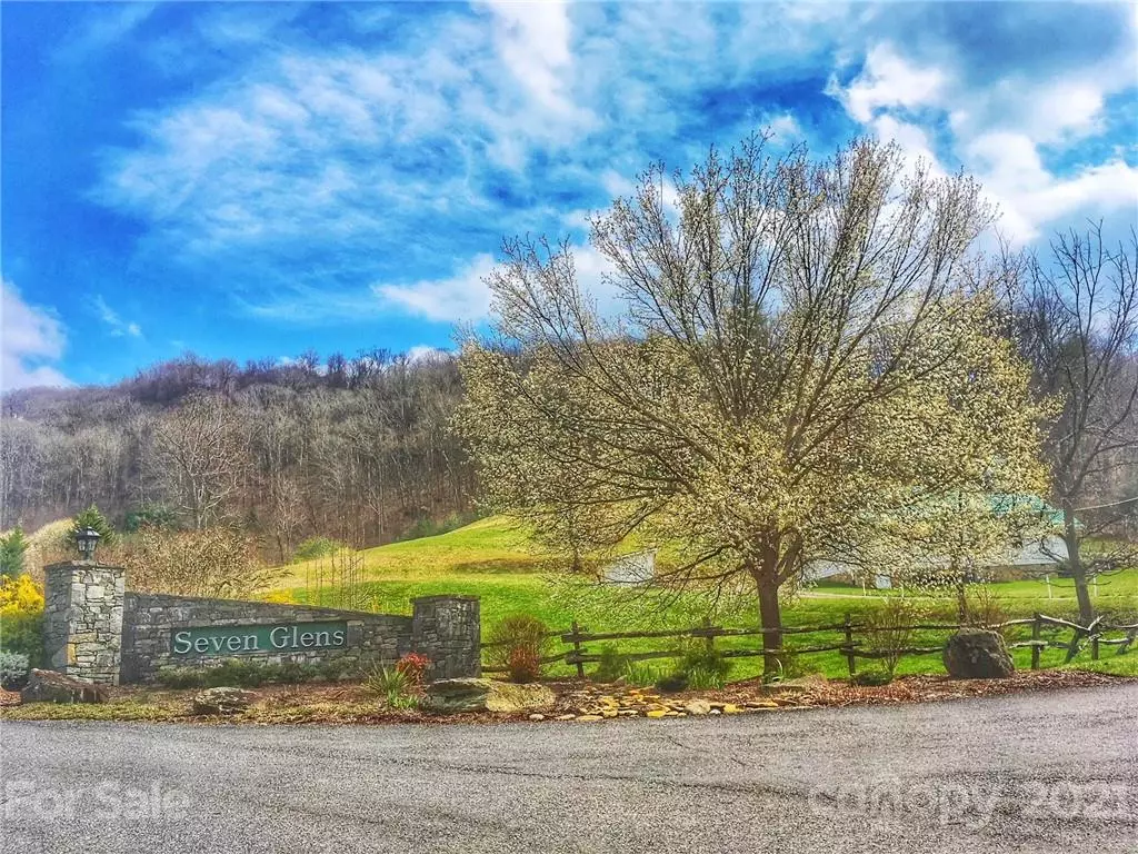 Weaverville, NC 28787,00 Cove Creek LN #155