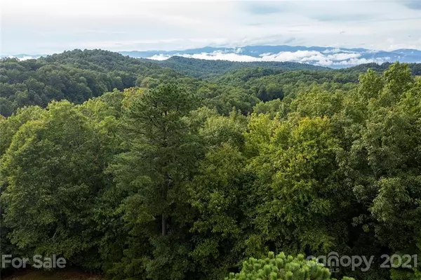 Lot 15 Kawani LN #15, Brevard, NC 28712