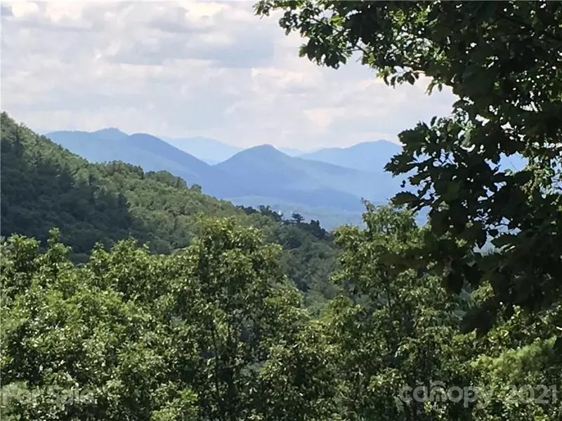 81 and 91 Starling PASS #90, 91, 92, Asheville, NC 28804