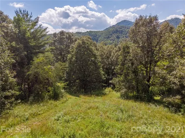 Marshall, NC 28753,00 Atnegam LN