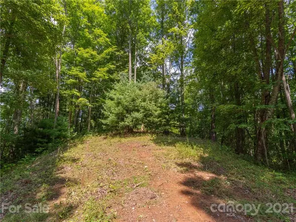 Mars Hill, NC 28754,000 Wolf Laurel RD