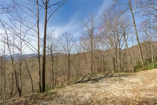 Old Fort, NC 28762,99999 Wolf Pen RD #971