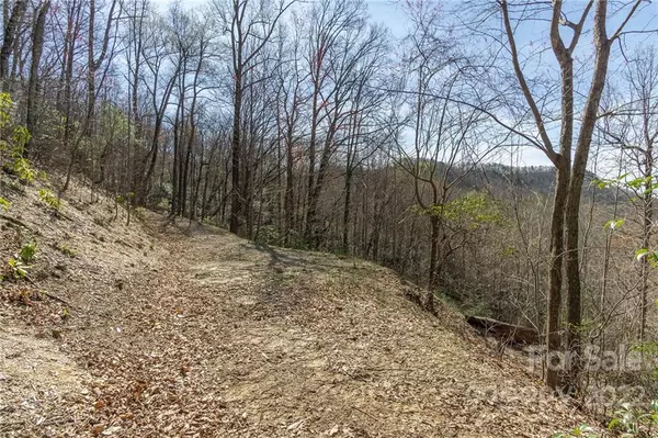 Old Fort, NC 28762,99999 Wolf Pen RD #971