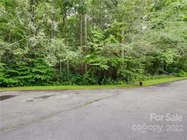 Brevard, NC 28712,Lot 19 Northwood DR