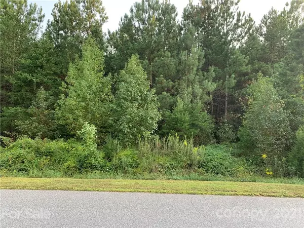 Lincolnton, NC 28092,#32 Woodsbury LN #32,33,34