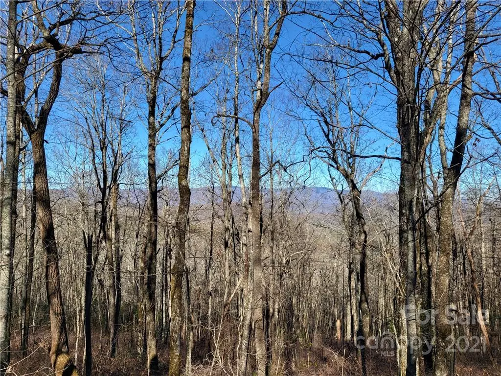 Lake Toxaway, NC 28747,0 Rocky Mountain RD #Lot 3 Unit 4