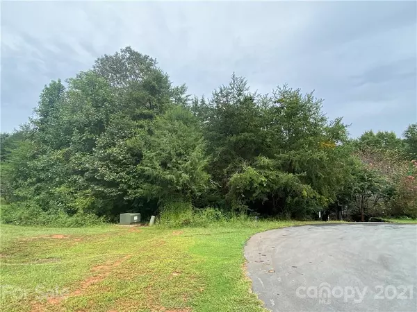 Vale, NC 28168,LOT 21 Spike LN #21