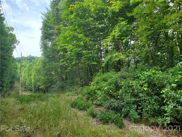 Boomer, NC 28606,3024 Pearson Mountain RD