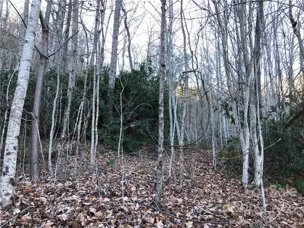 Sylva, NC 28779,000 Monteith Branch RD #00