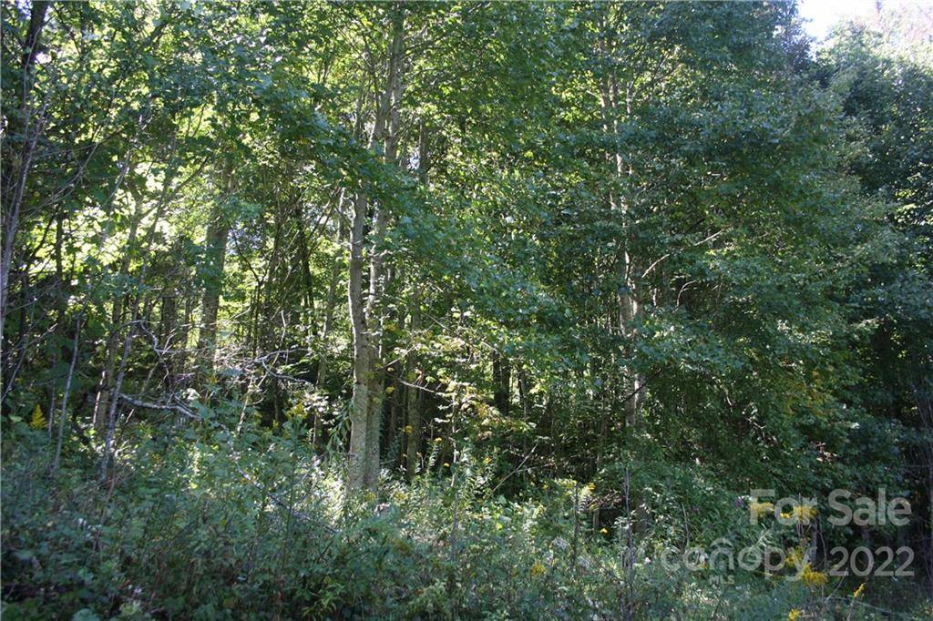 Mars Hill, NC 28754,9 Haw View DR #9
