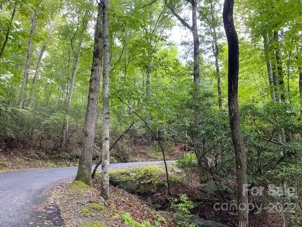 Brevard, NC 28712,Lot 9 Galax LN #Lot 9