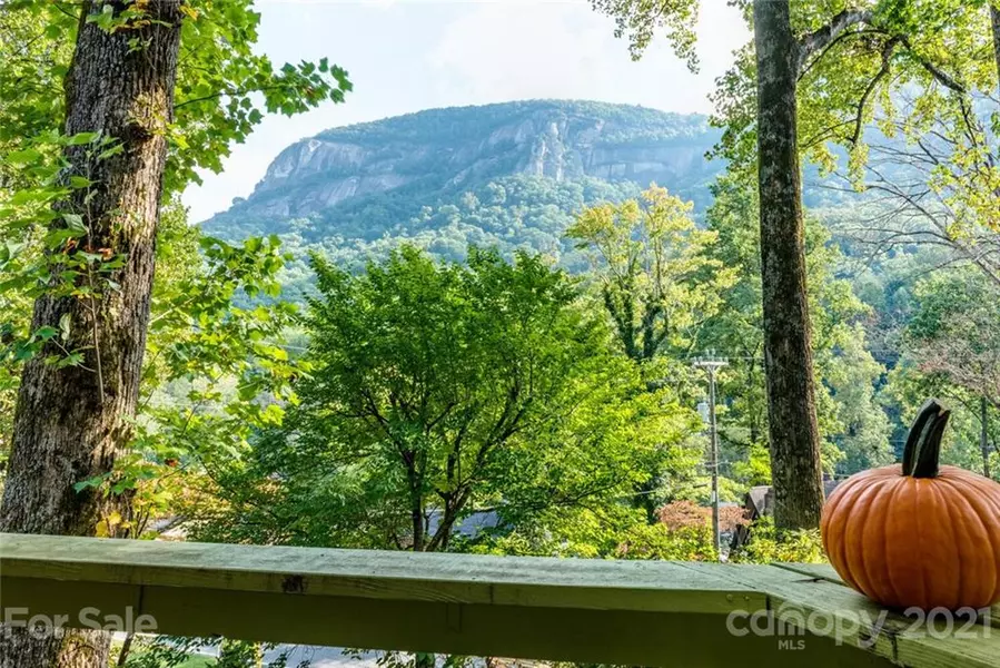 111 Buena Vista RD, Chimney Rock, NC 28720