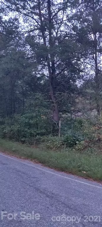 Cajahs Mountain, NC 28645,1560 Orchard DR