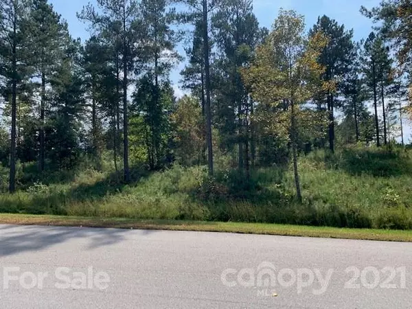 Granite Falls, NC 28630,3179 Scenic LN #159