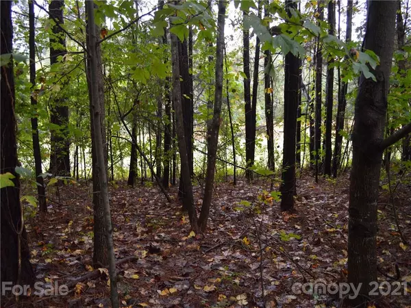 Lake Lure, NC 28746,LOT 13 Sheepnose DR