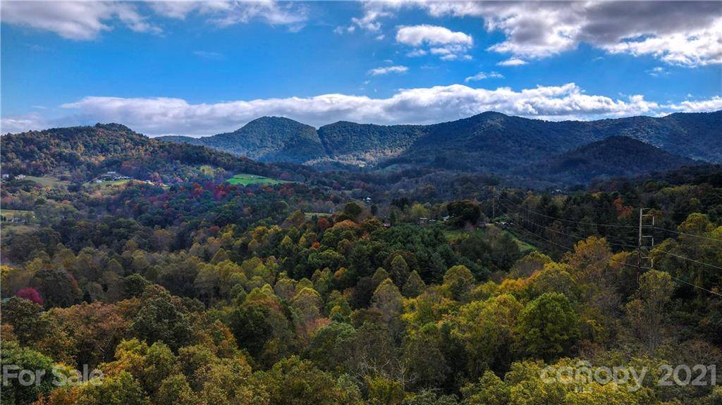 1895 Dutch Cove RD, Canton, NC 28716