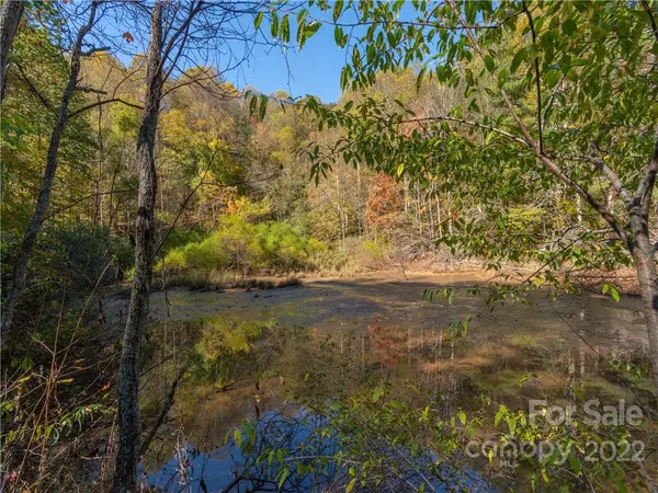 Waynesville, NC 28785,000 Fox Run RD