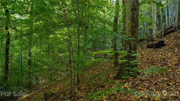 Millers Creek, NC 28651,0 Mertie RD #19