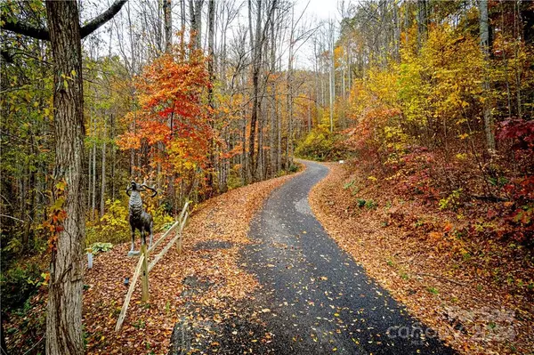 Maggie Valley, NC 28751,18 Sleeping Bear RDG #18