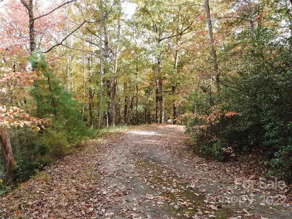 Lake Lure, NC 28746,Lot 33 Mintwood CT